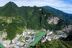 金寨小黄姜储藏指南_采购热线：136-9653-9698