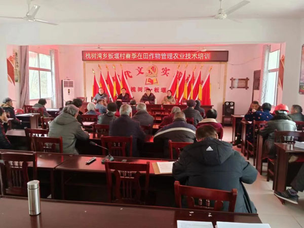 金寨县槐树湾乡