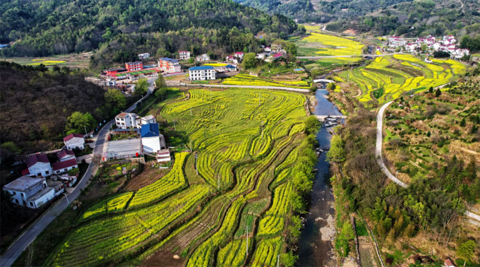 安徽金寨铁冲乡